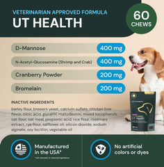 Arándano en polvo en UT Health Chews para la salud de la vejiga.
