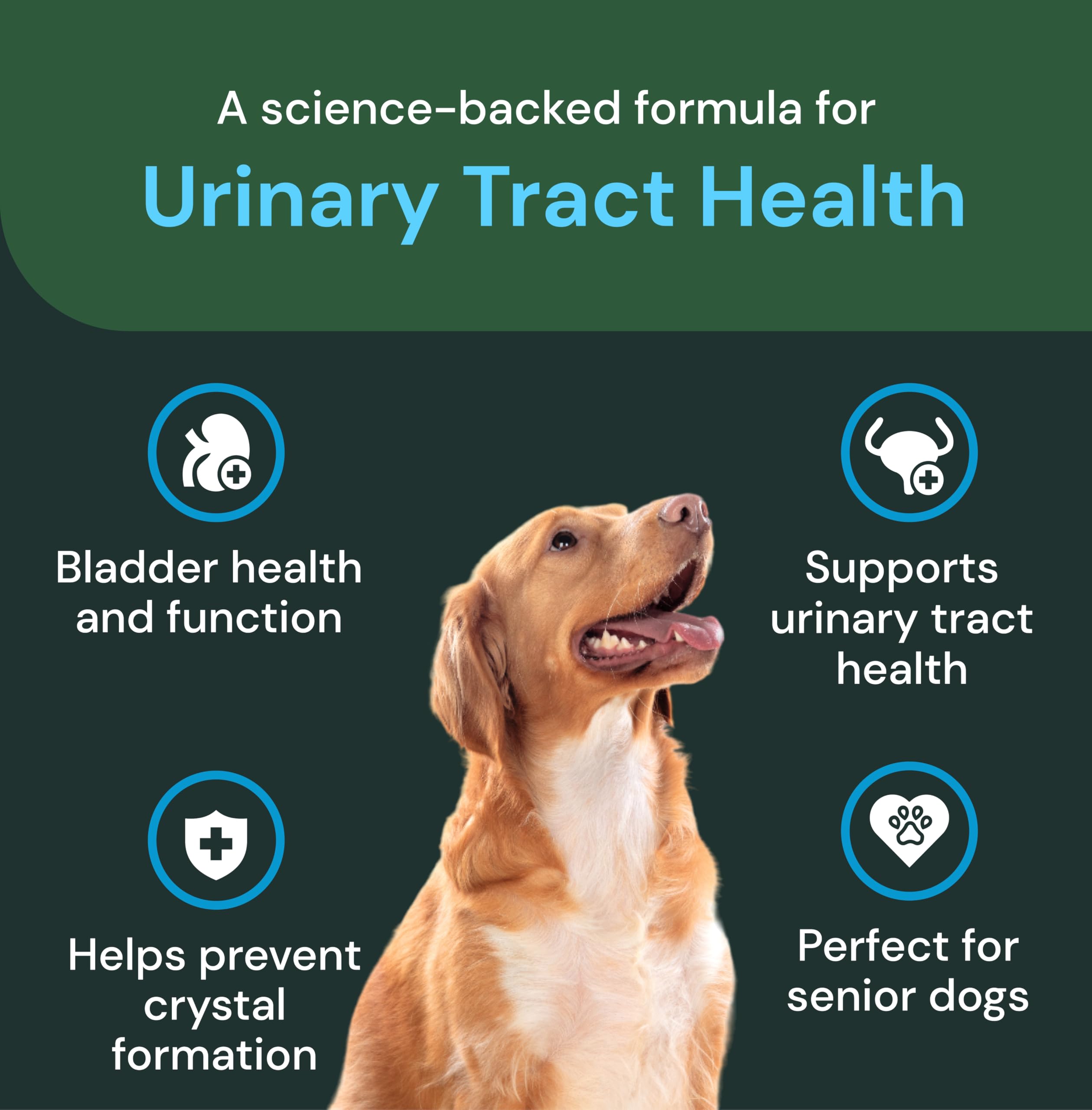 D‑Manosa en UT Health Chews para apoyar el tracto urinario.