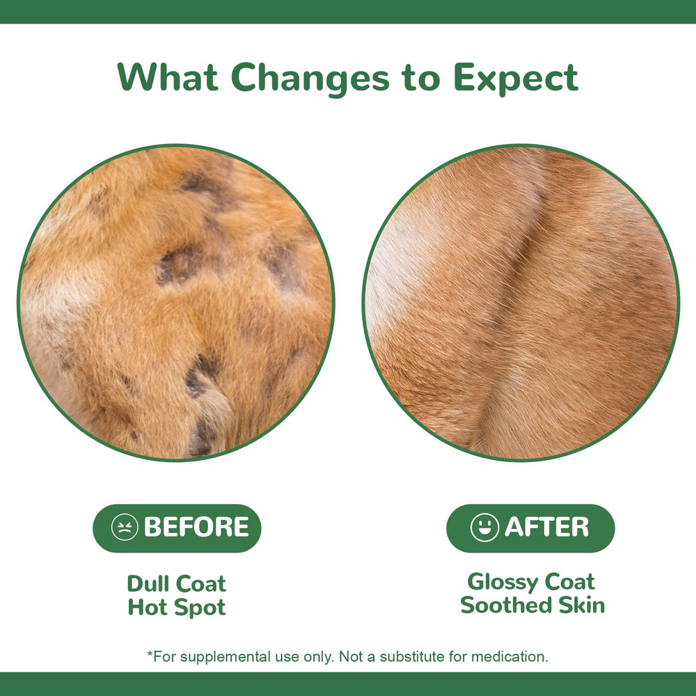 Vetriuntrix ingredientes naturales sin granos para perros sensibles.