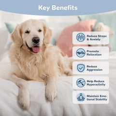 Vetriuntrix masticables para perros, sabor pollo agradable en la imagen 2