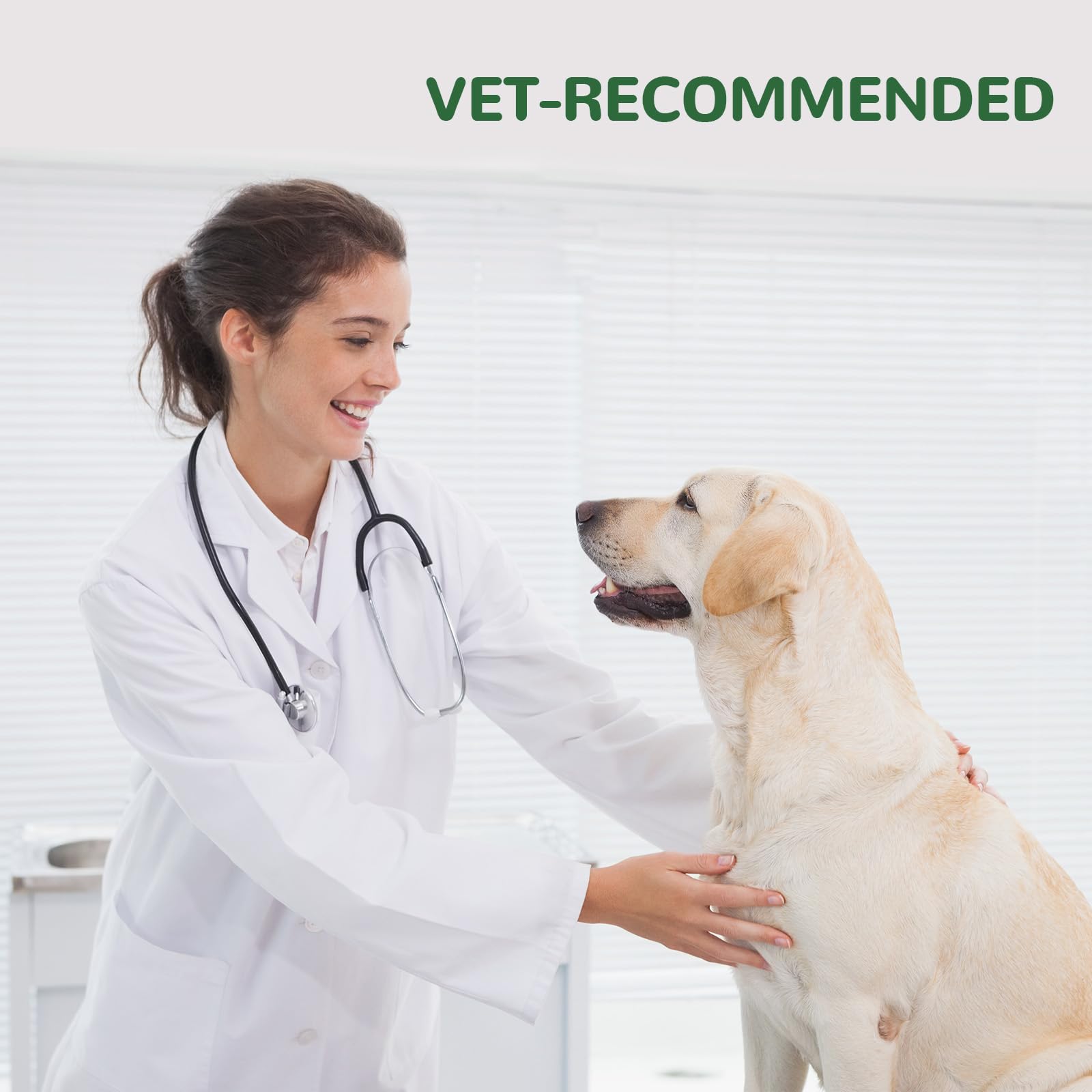 Vetriuntrix salud de piel y pelo, suplemento diario para perros.