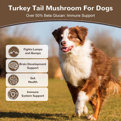 Etiqueta del Vetriuntrix Turkey Tail con información de ingredientes.
