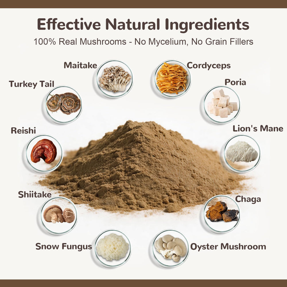 Mezcla diez hongos Vetriuntrix, enfocada en inmunidad y salud intestinal.