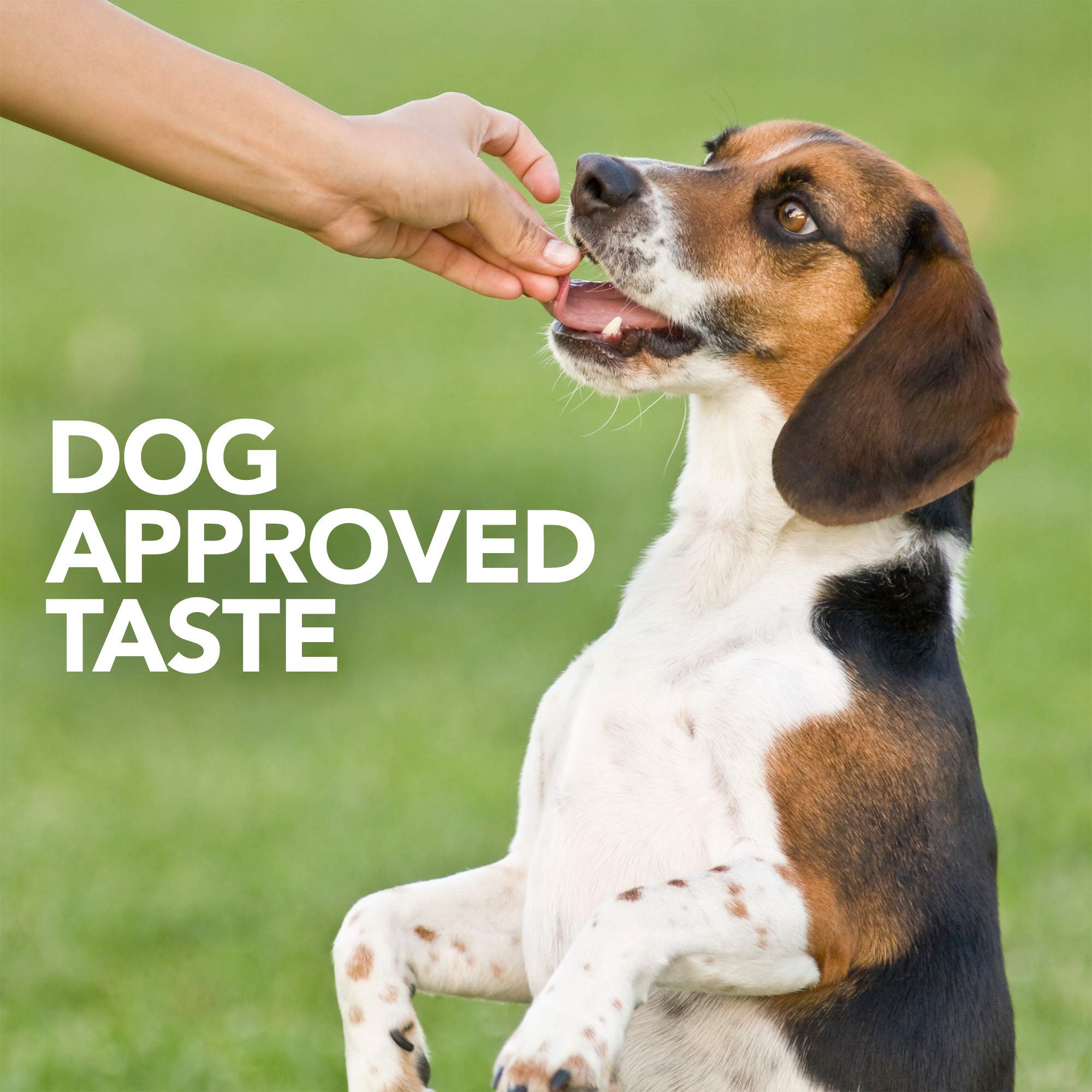 Vet's Best Probiotic Soft Chews sin sabores artificiales para una experiencia natural.