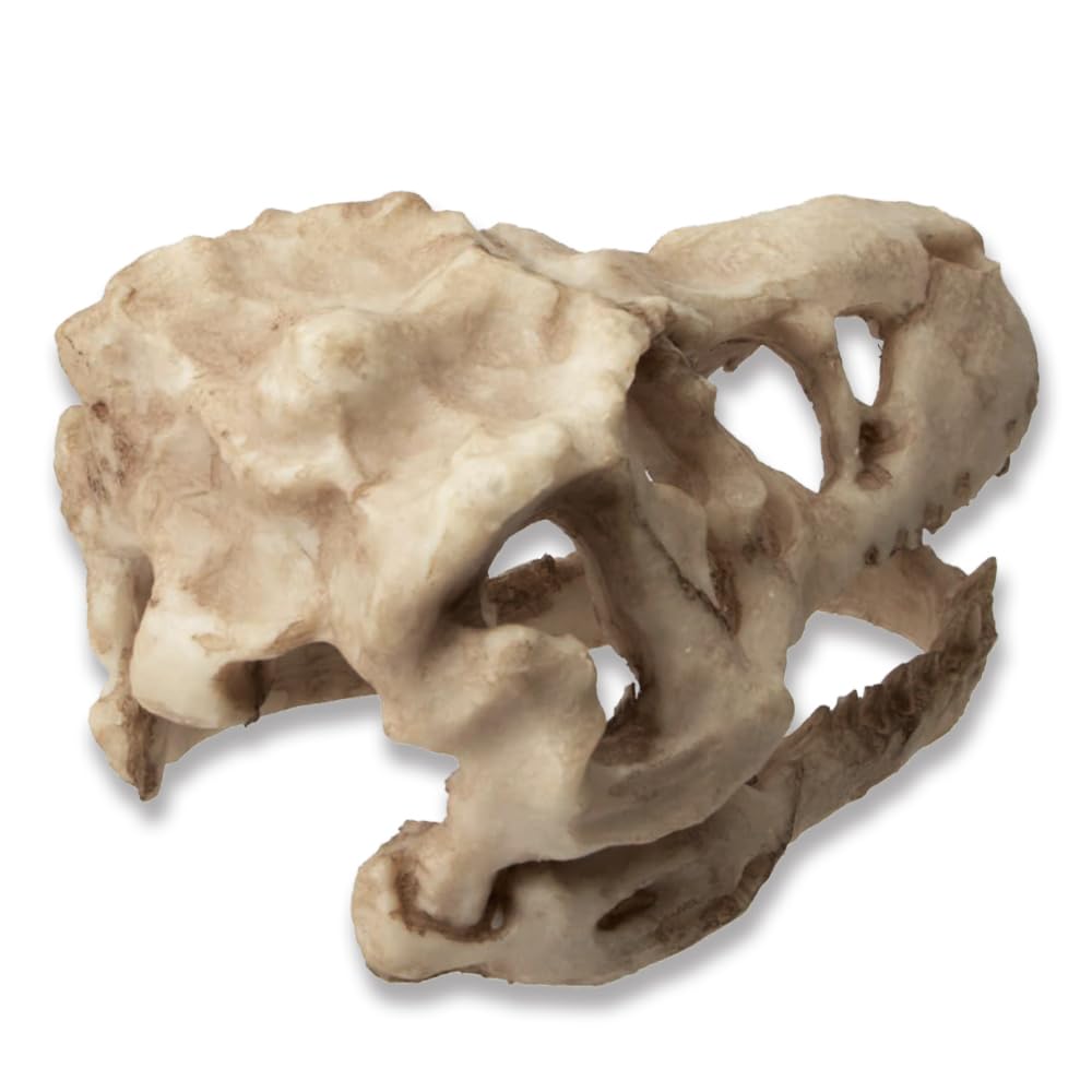 VibeNest detalle dinosaurio en resina, ideal para acuario