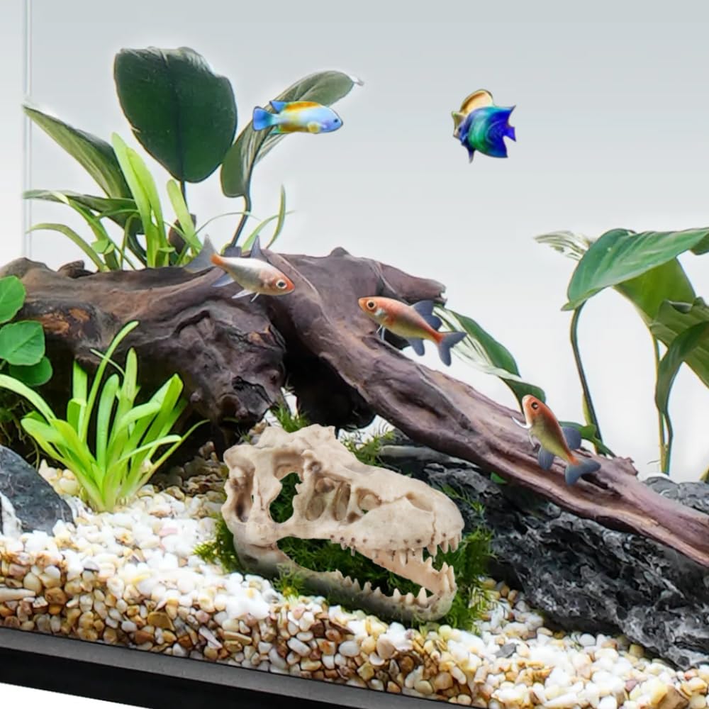VibeNest escena dinosaurio para acuario, aspecto llamativo