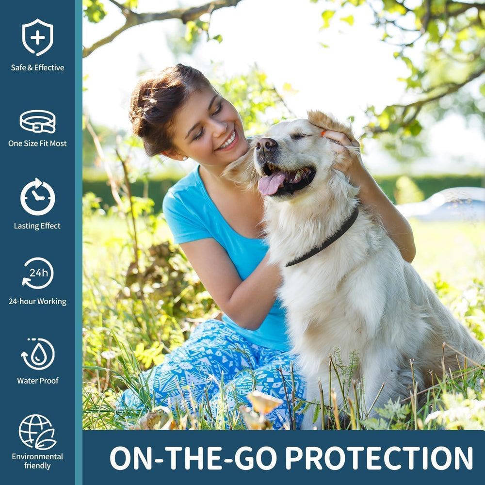 Colores negro y gris: estilo y protección para perros.