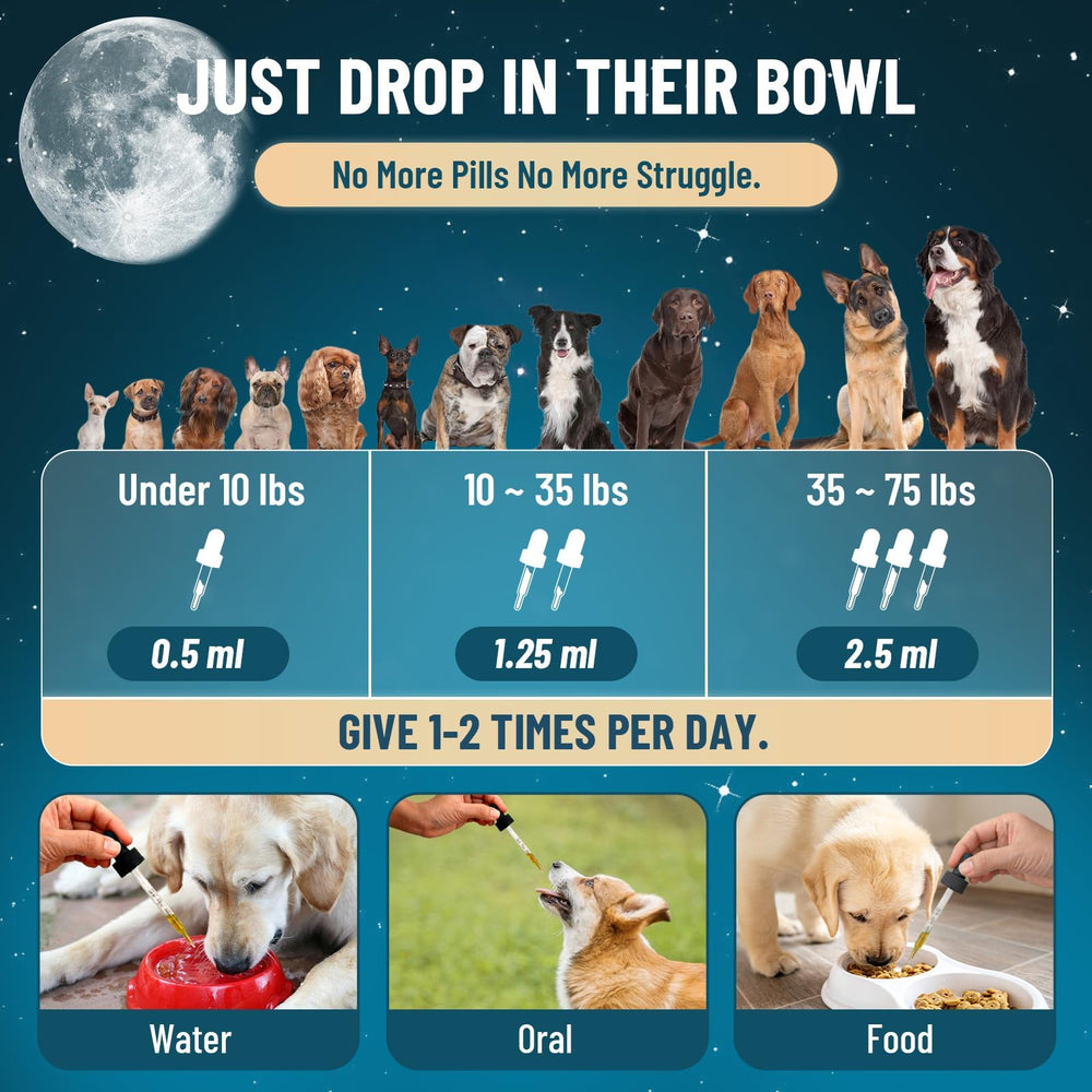 Ingredientes naturales destacados en la fórmula de VICSOM para perros.