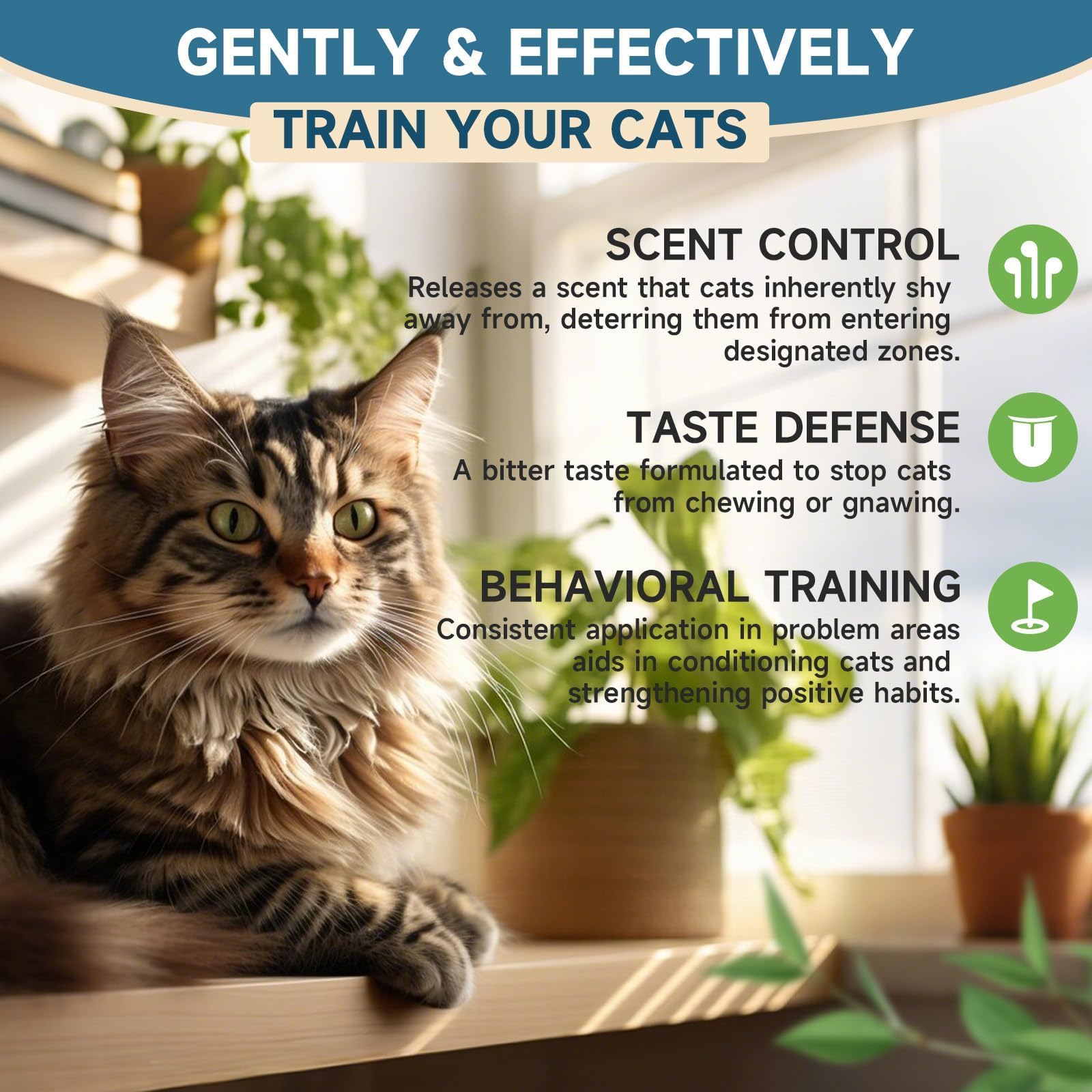 VICSOM habitación libre de gatos, uso seguro para áreas restringidas.