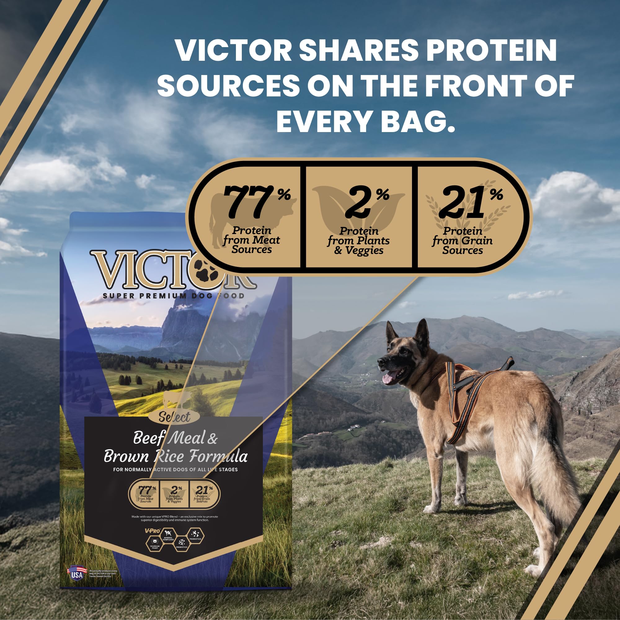 VICTOR alimento apto para perros con alergias a otras proteínas
