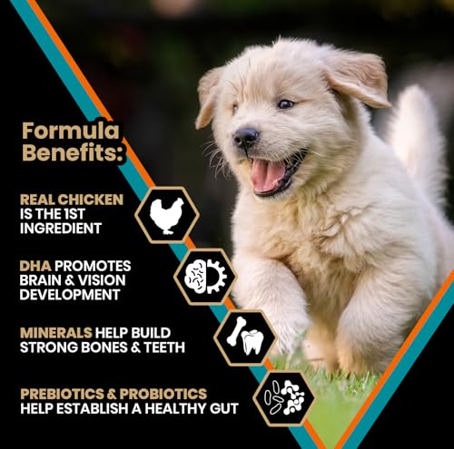 DHA para desarrollo cerebral y visión en cachorros grandes