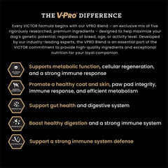 VICTOR Classic Hi-Pro Plus con probióticos y prebióticos para digestión equilibrada.