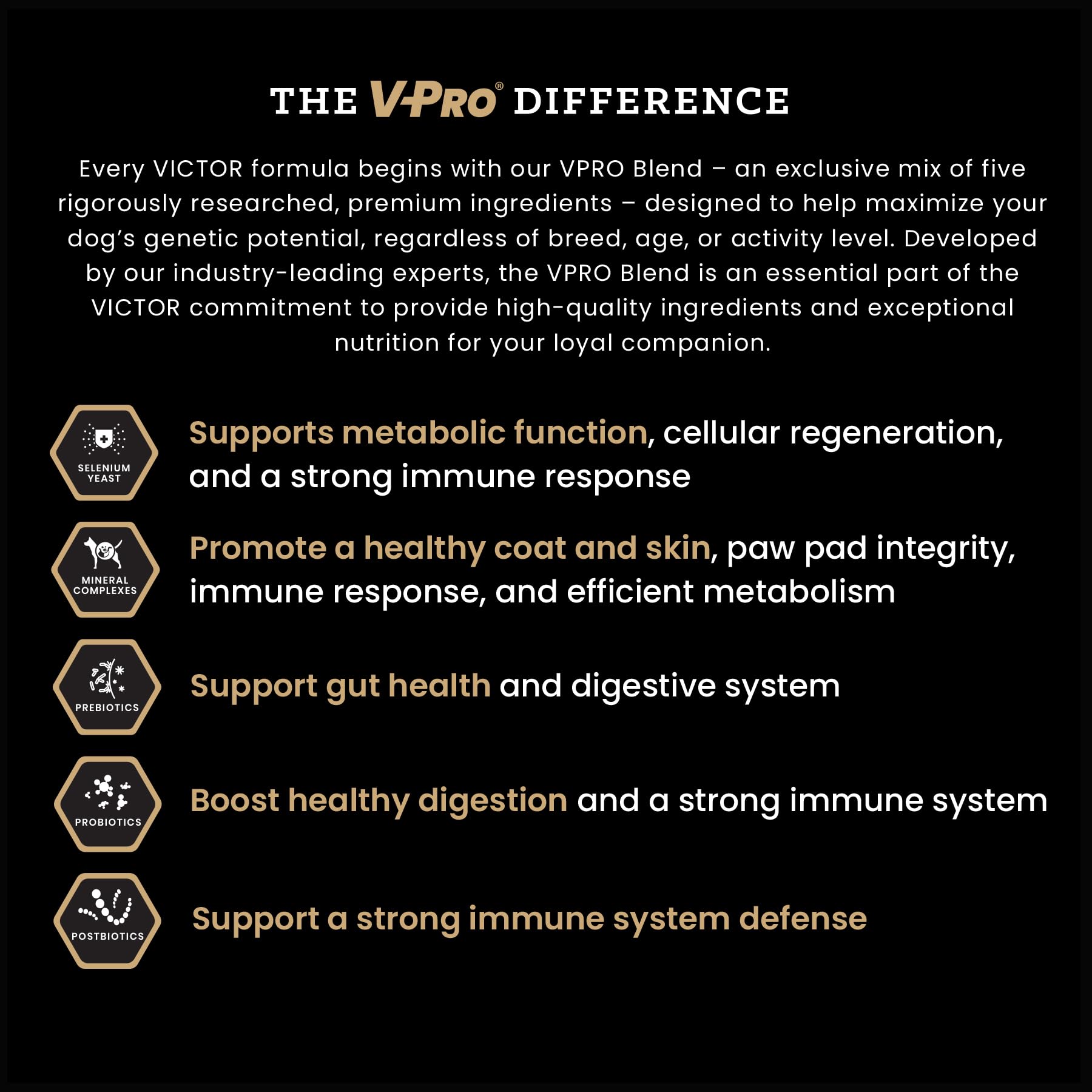 VICTOR Classic Hi-Pro favorece salud intestinal con prebióticos y probióticos.