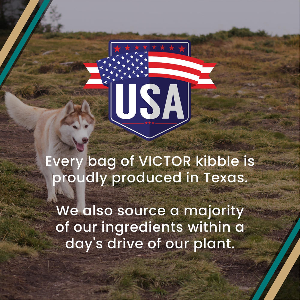 VICTOR Hi-Pro Plus energía sostenida, imagen de comida para perros activos.