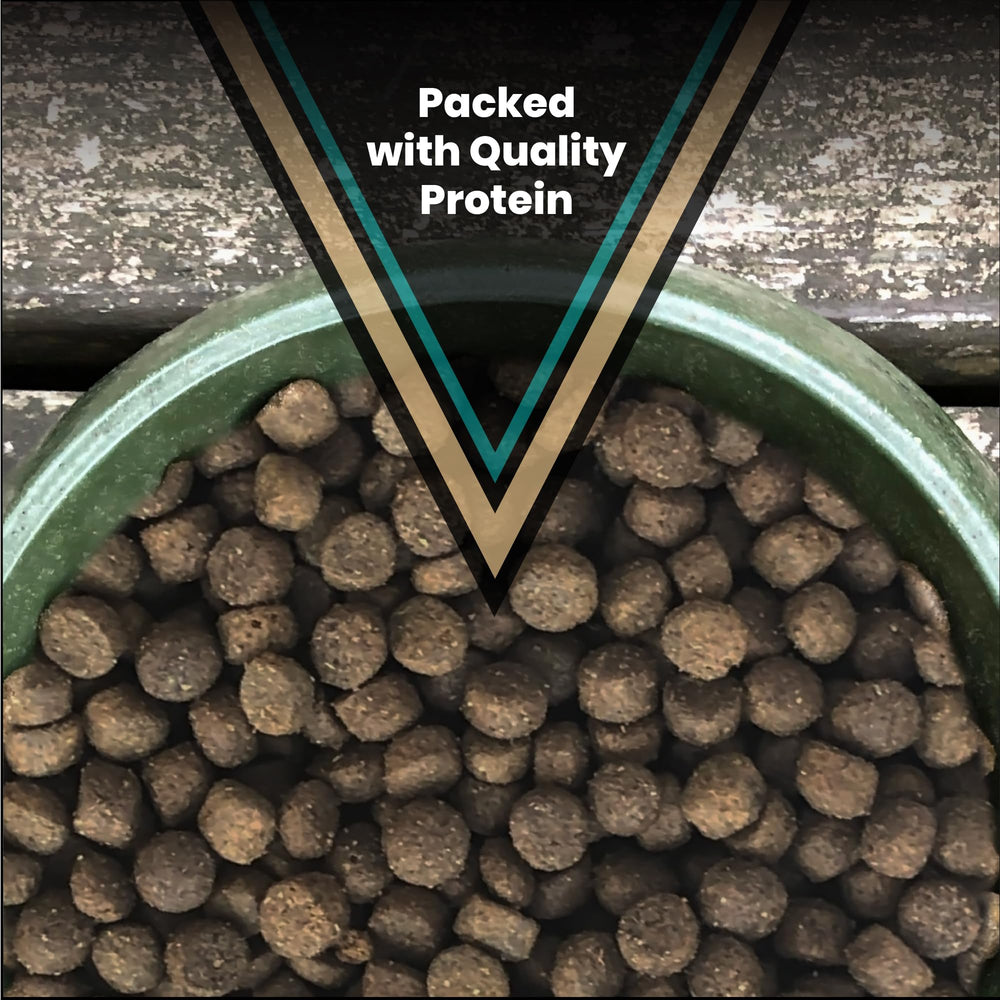VICTOR Hi-Pro Plus etiqueta 30% proteína, guía rápida para nutrición de alta energía.