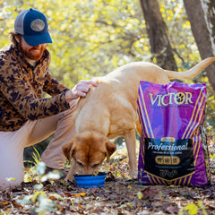 VICTOR Professional mezcla de carnes y proteína 26% para crecimiento.