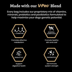 Victor Hi-Pro Bites con mezcla VPRO para apoyo a piel y pelaje.