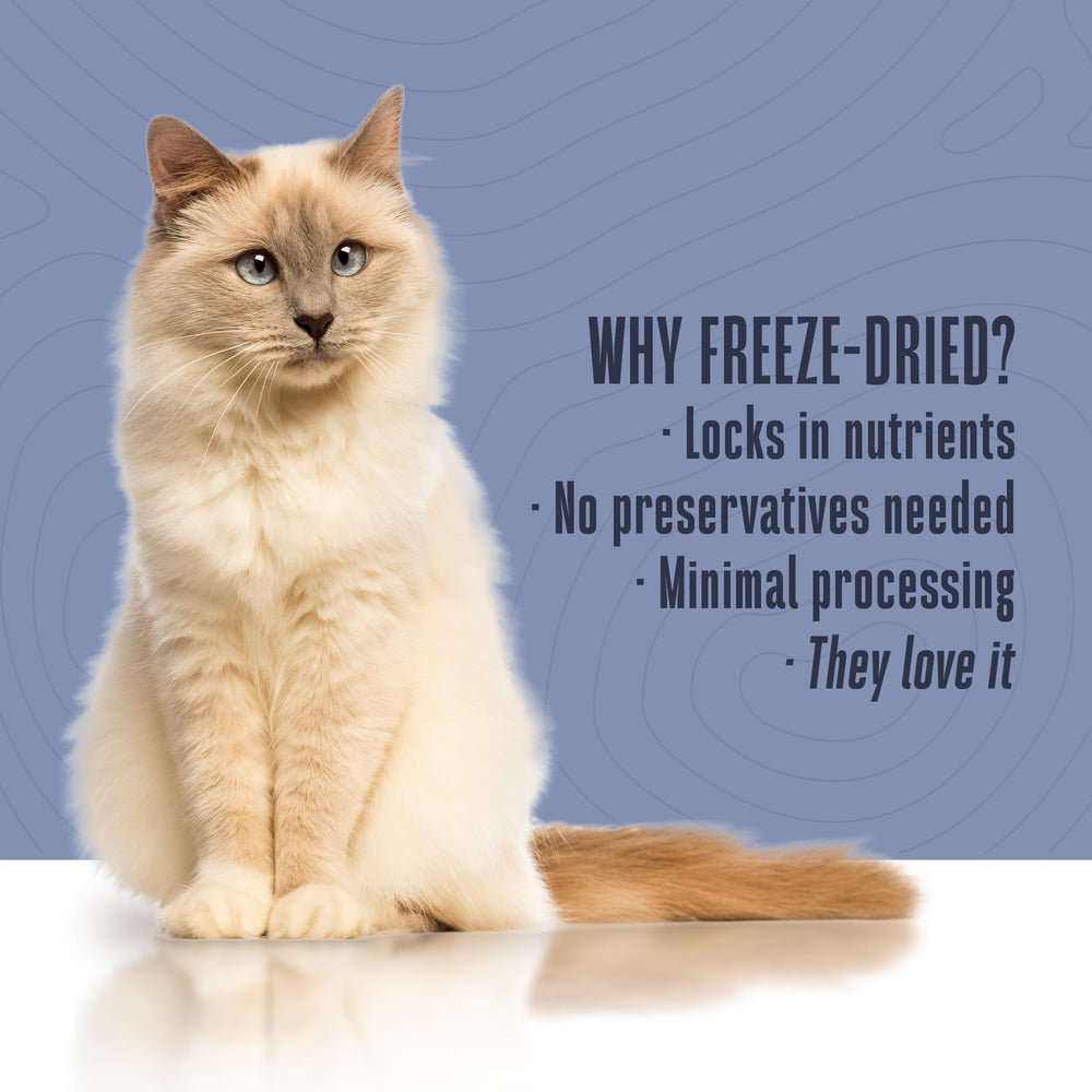 Vida Plena para Mascotas: sabor natural y sin conservantes para gatos