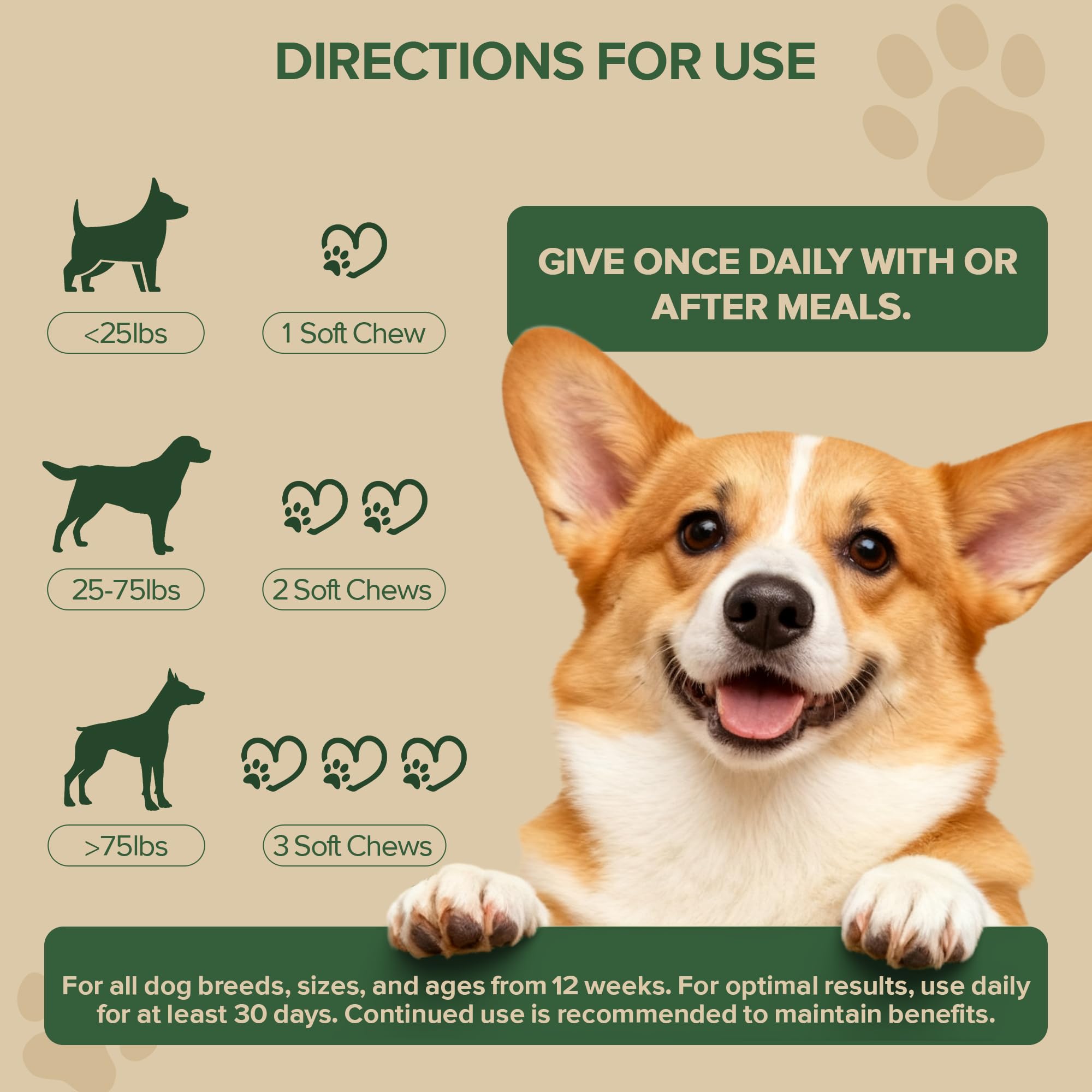 VientoSeek Probiotics para perros: apoyo digestivo diario