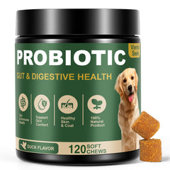 VientoSeek Probiotics para perros: enzimas que apoyan la digestión diaria