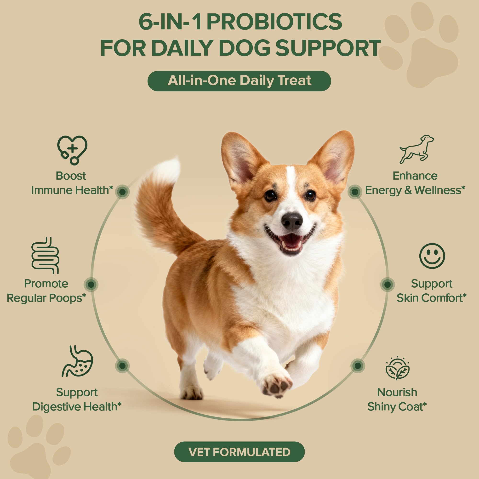VientoSeek Probiotics para perros: prebióticos que equilibran la microbiota