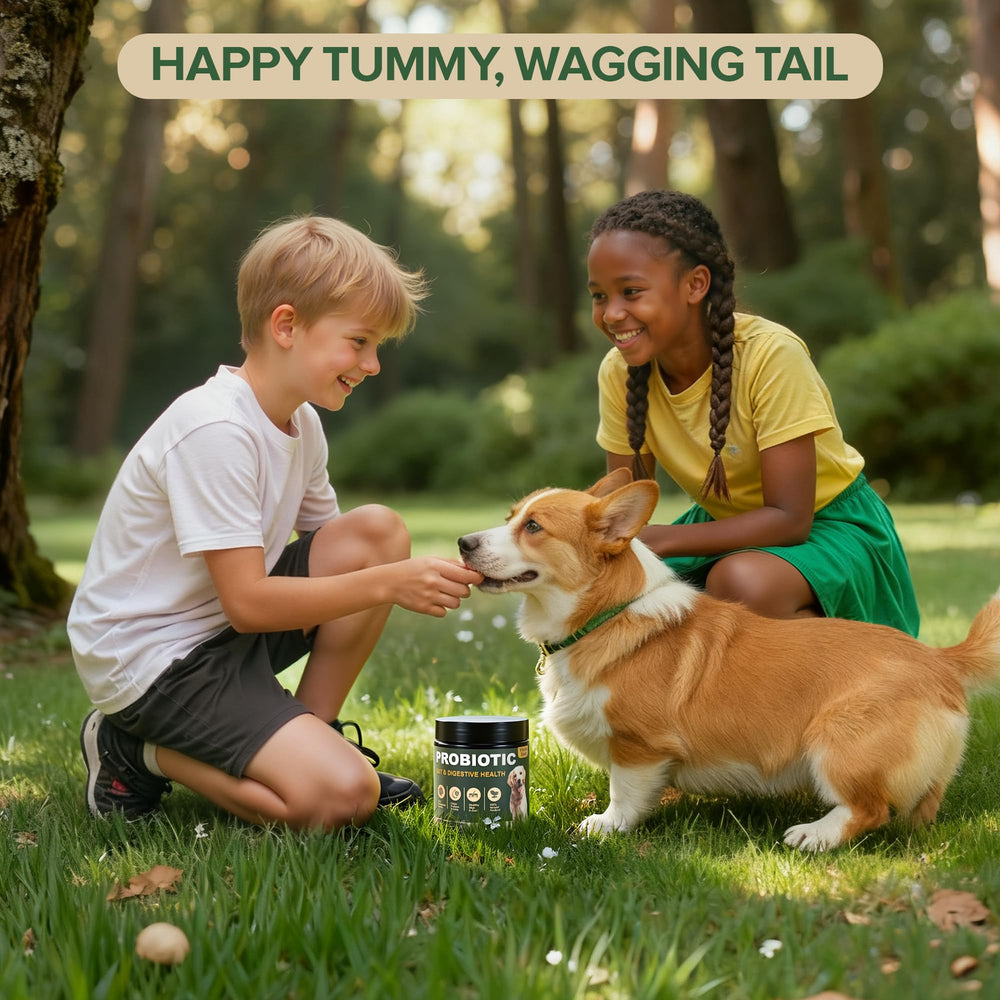 VientoSeek Probiotics para perros: apoyo a la inmunidad natural