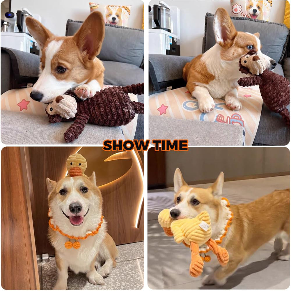 Conjunto VIFINE de cinco juguetes con chirri para perros de todas las tallas.