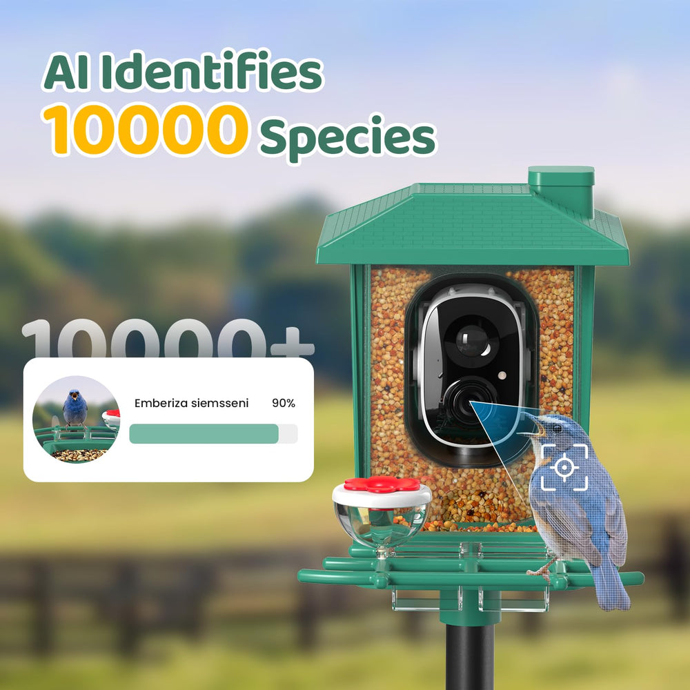 VIMKIM reconocimiento-ia-5000-especies: identifica aves en tu jardín.