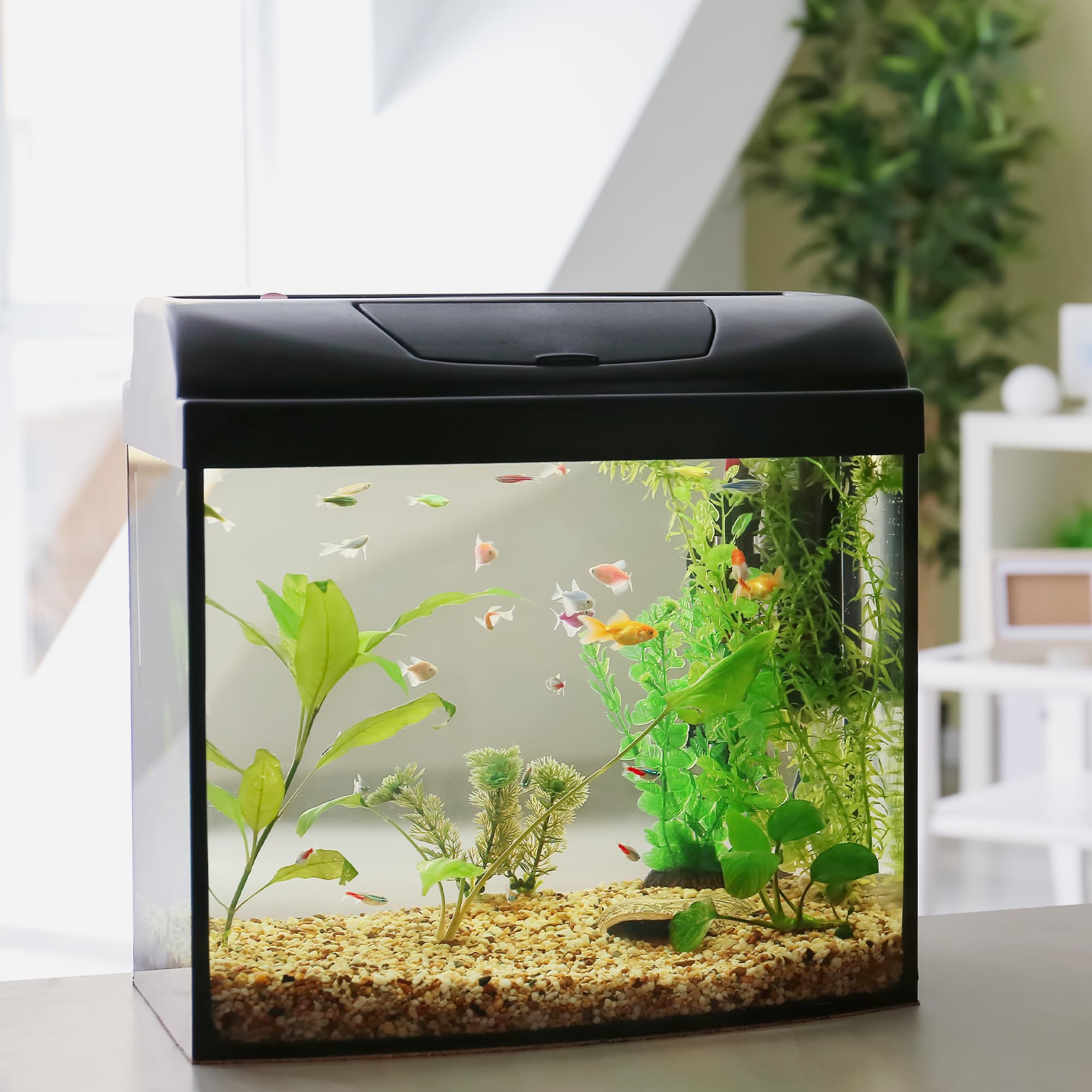 VINICS grava acuario empaque duradero, listo para uso inmediato.