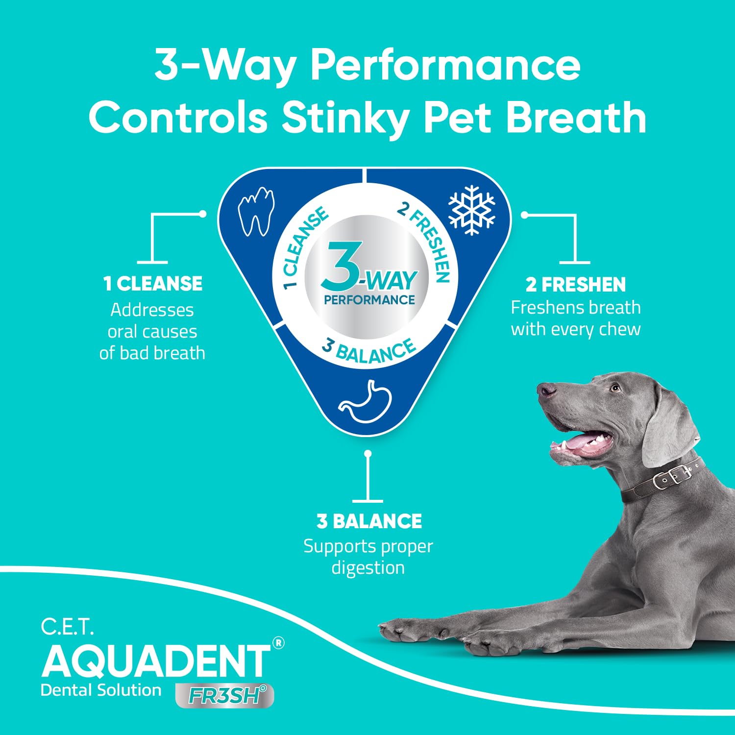 Gato con Virbac C.E.T. Aquadent en cuenco para refrescar el aliento.