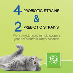 Virbac NEPHRODYL etiqueta: información clara del producto para el dueño.