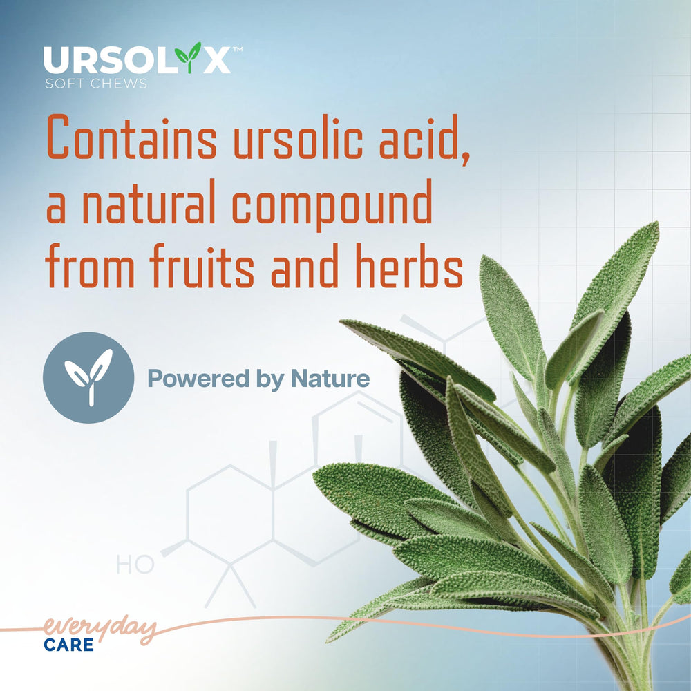Virbac URSOLYX Soft Chews ayudan a perros activos a moverse con libertad al jugar