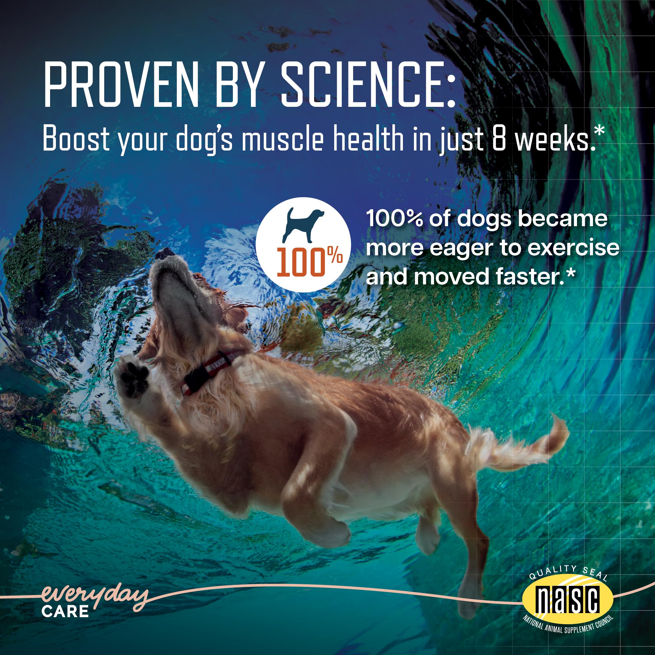 Virbac URSOLYX Soft Chews para perros grandes; favorece caminar con mayor fuerza