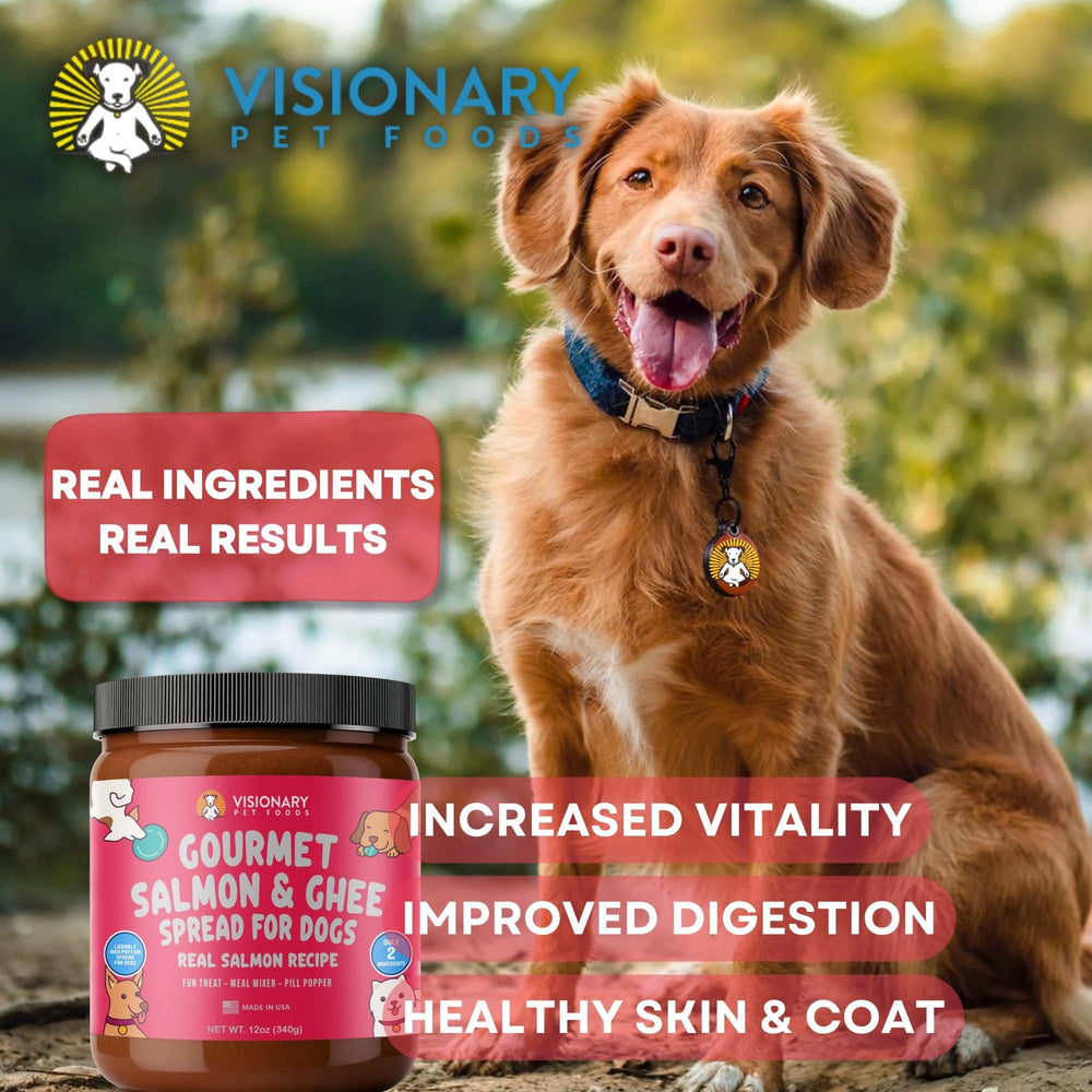 Textura cremosa del Salmon Meat Spread de Visionary, perfecto para mezclar en la comida del perro