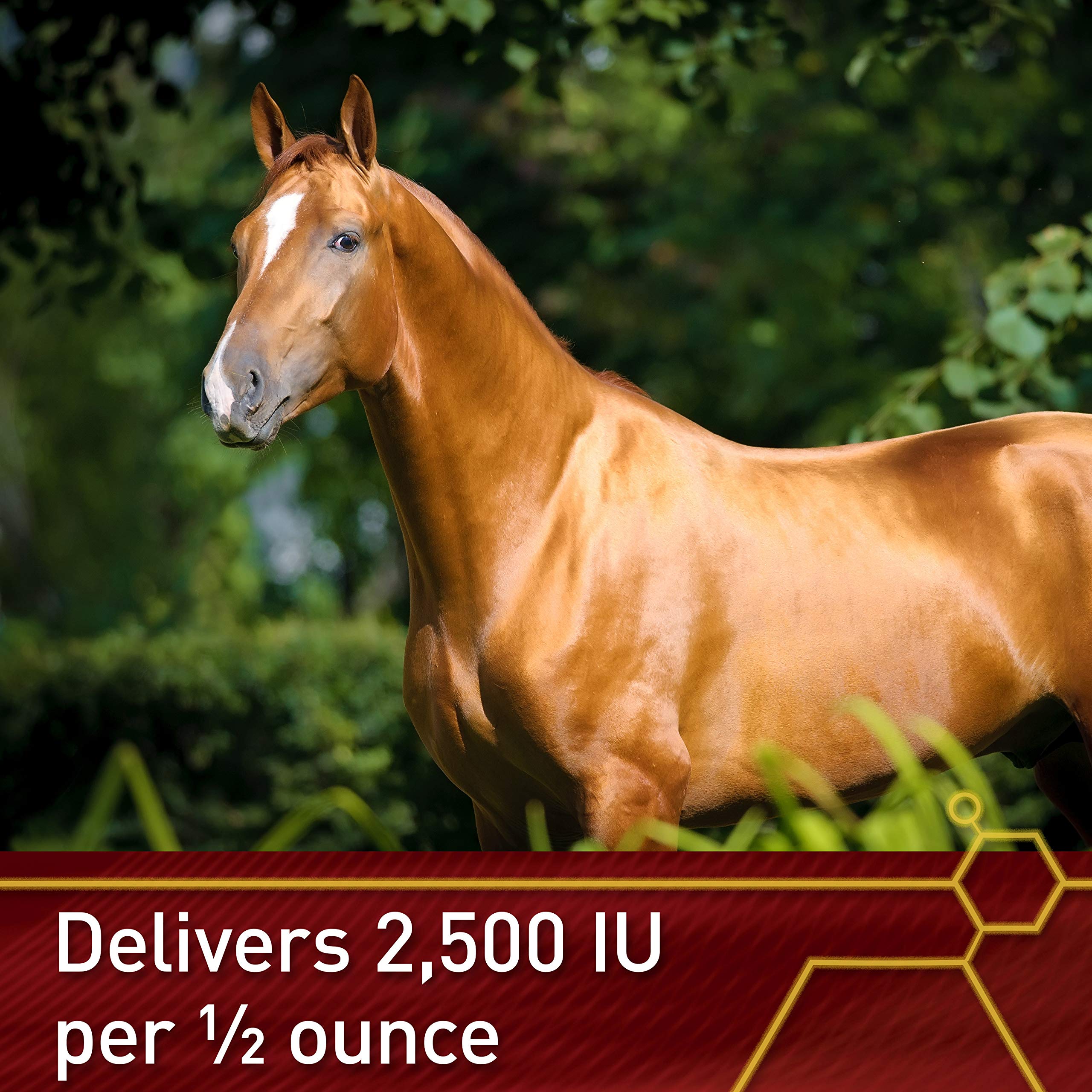 Vita Flex Pro E-5000: uso diario para caballos que necesitan apoyo constante.