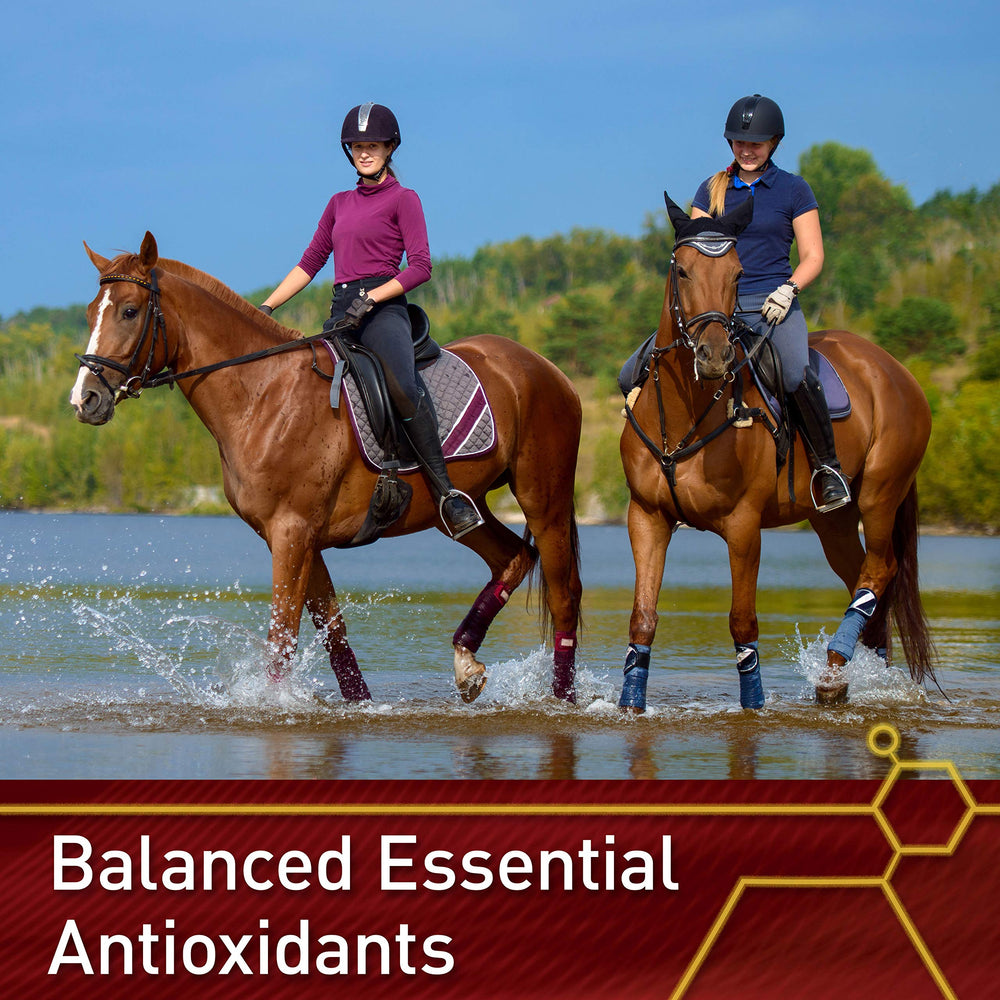 Vita Flex Pro E & Selenium: defensa antioxidante para la salud general del caballo