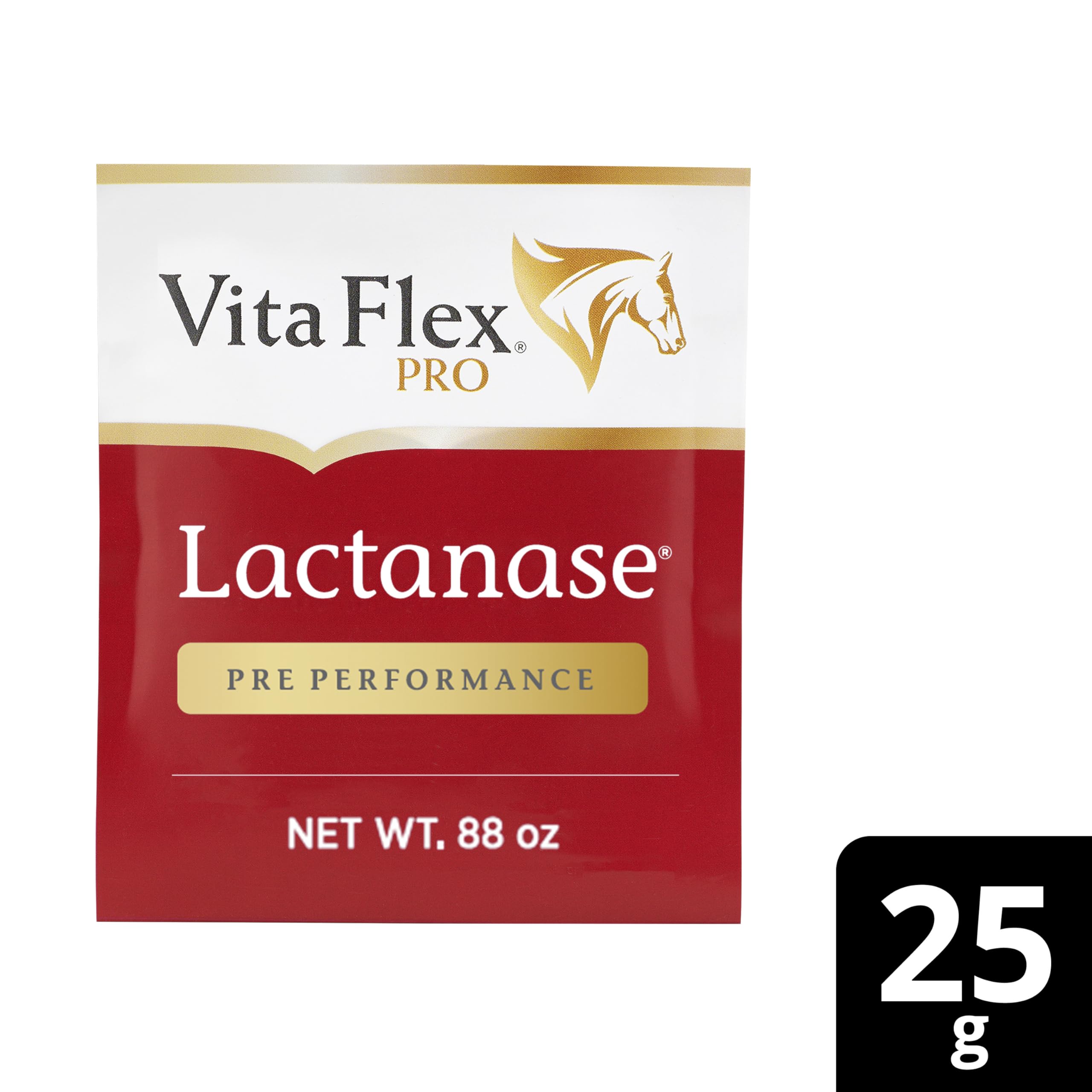 Escena equina mostrando rendimiento y bienestar con Vita Flex Pro Lactanase