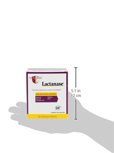 Etiqueta frontal de Vita Flex Pro Lactanase Pre-Performance, fórmula segura para competición