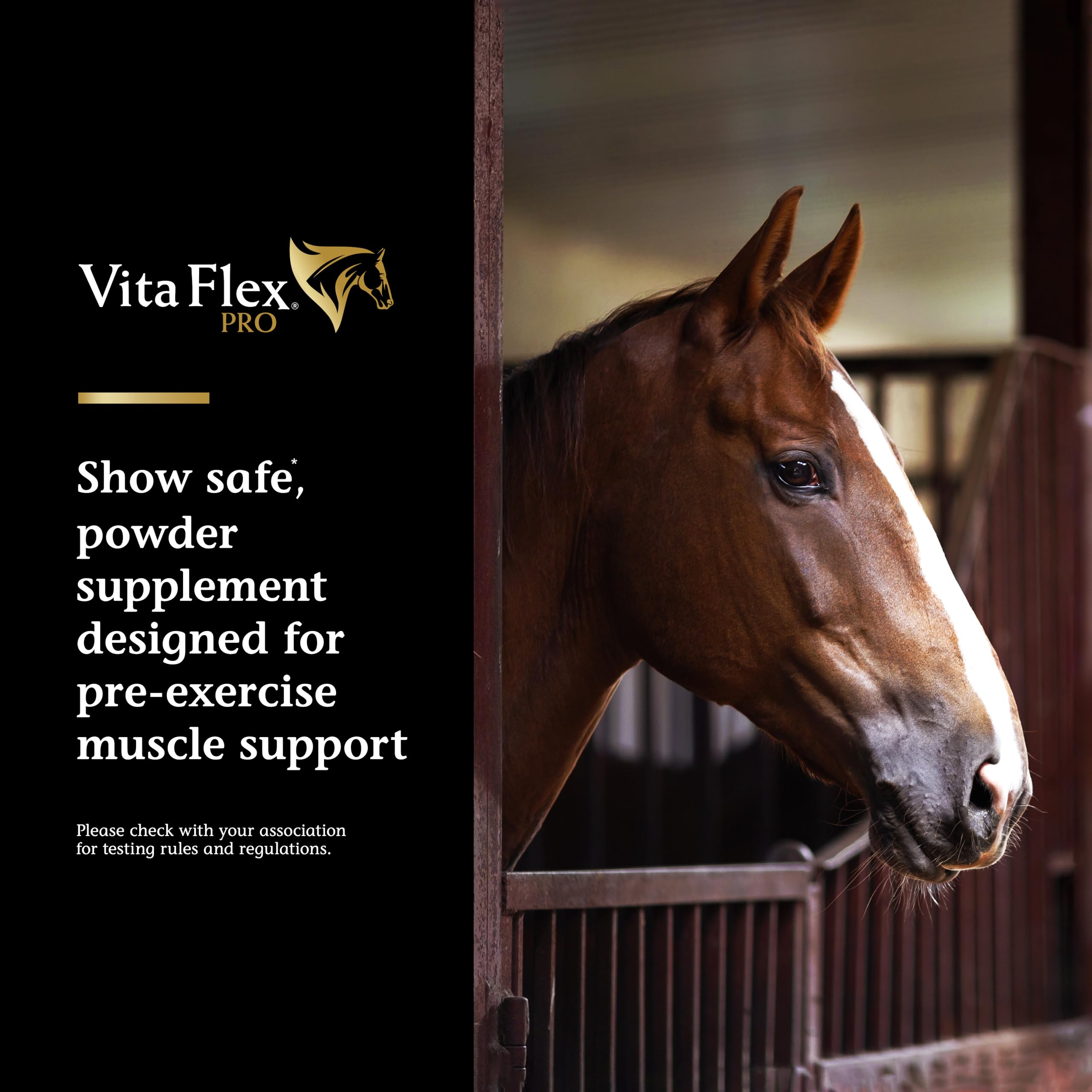 Sobres de dosis única Vita Flex Pro Lactanase Pre-Performance, uso rápido
