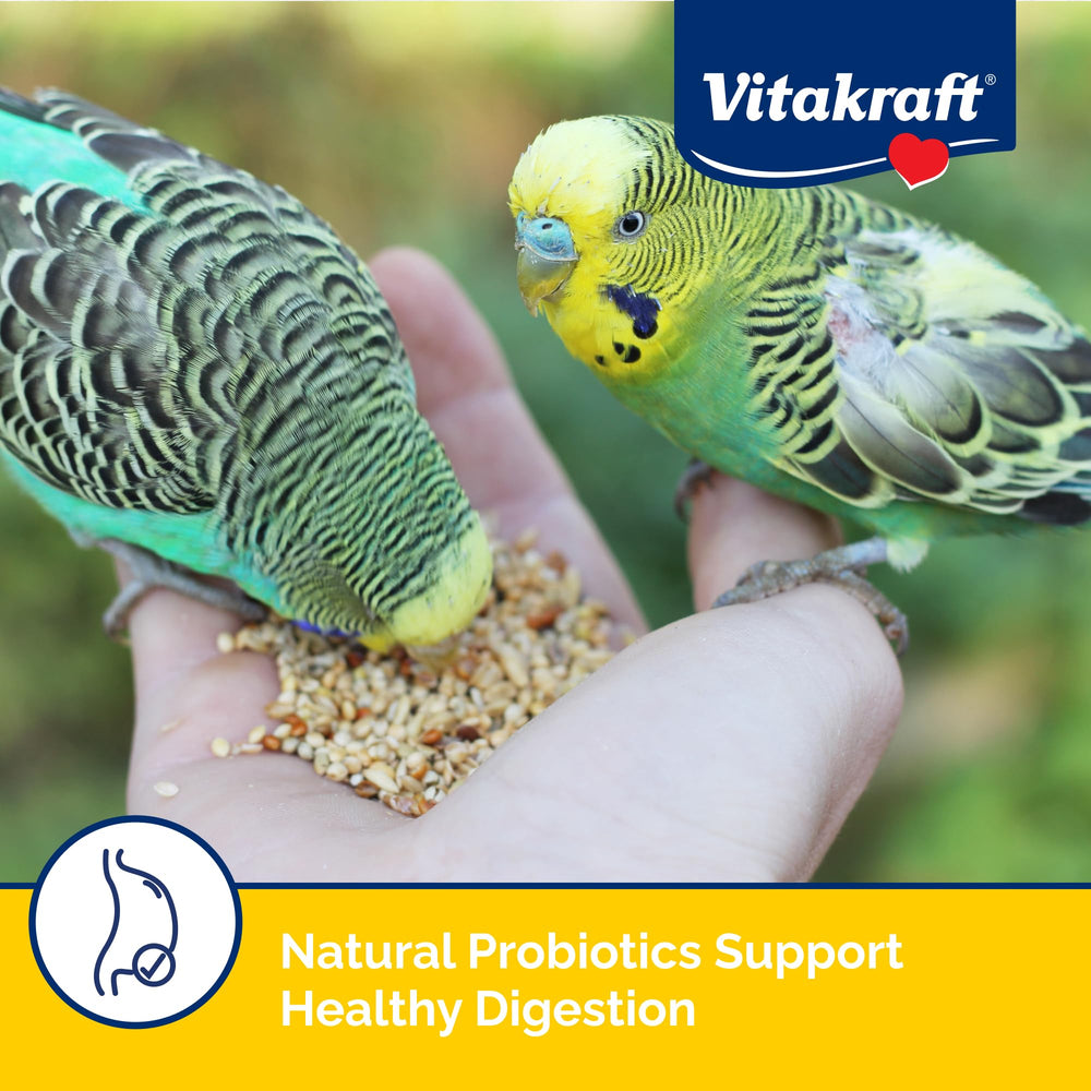 Vitakraft Menu para periquitos: fuente de Omega-3 y Omega-6 para plumaje saludable.