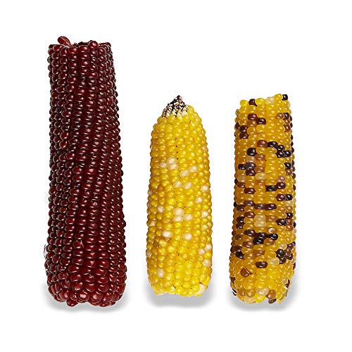 Vitakraft Mini-Pop cob de maíz para aves, fomenta momentos de juego y consumo consciente.