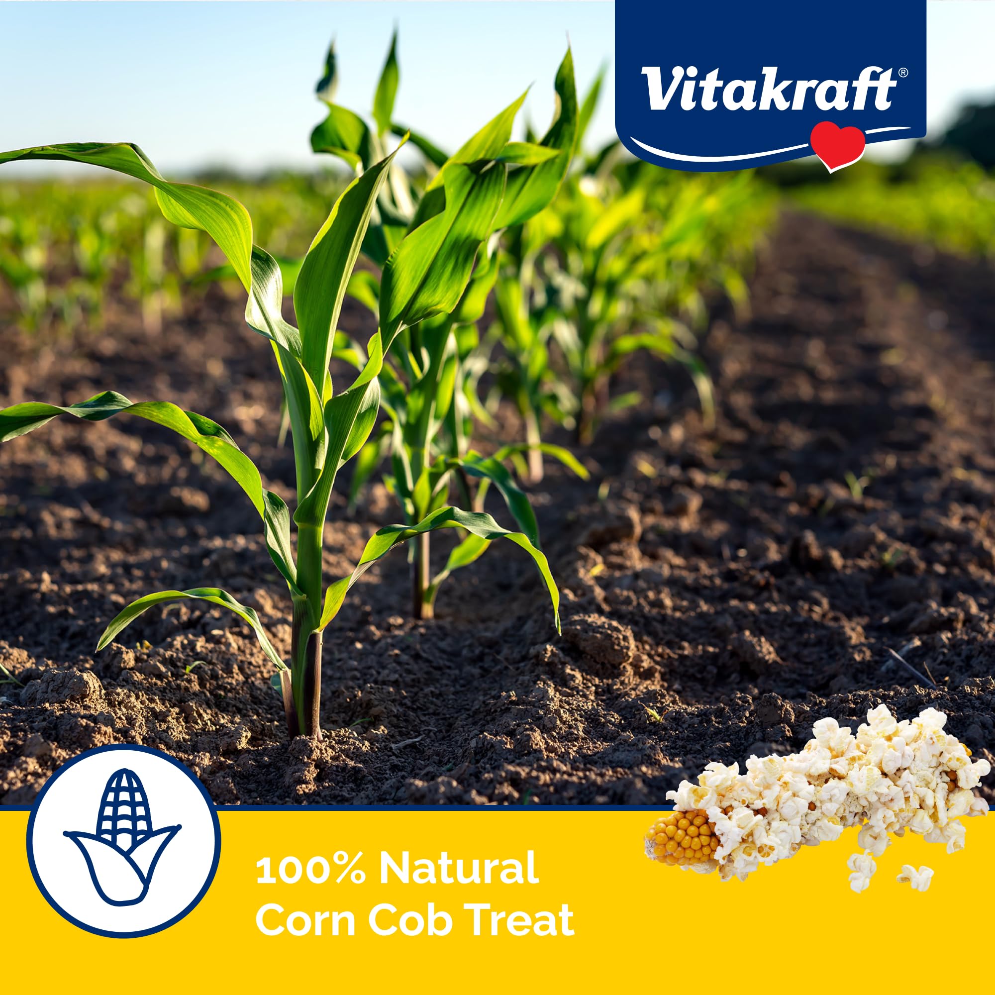 Vitakraft Mini-Pop cob de maíz para aves, espiga de tamaño manejable.
