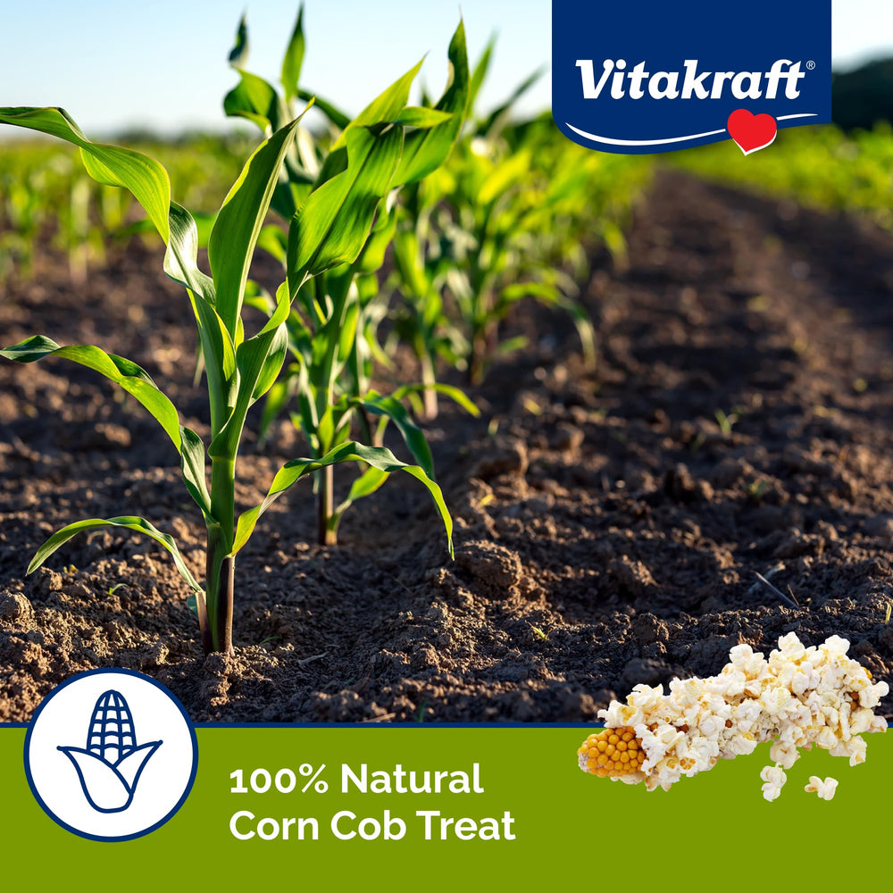 Vitakraft Mini-Pop para conejo: snack sencillo y natural.