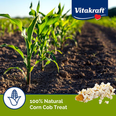 Vitakraft Mini Pops: maíz en mazorca, apoyo natural para la dentición al masticar.