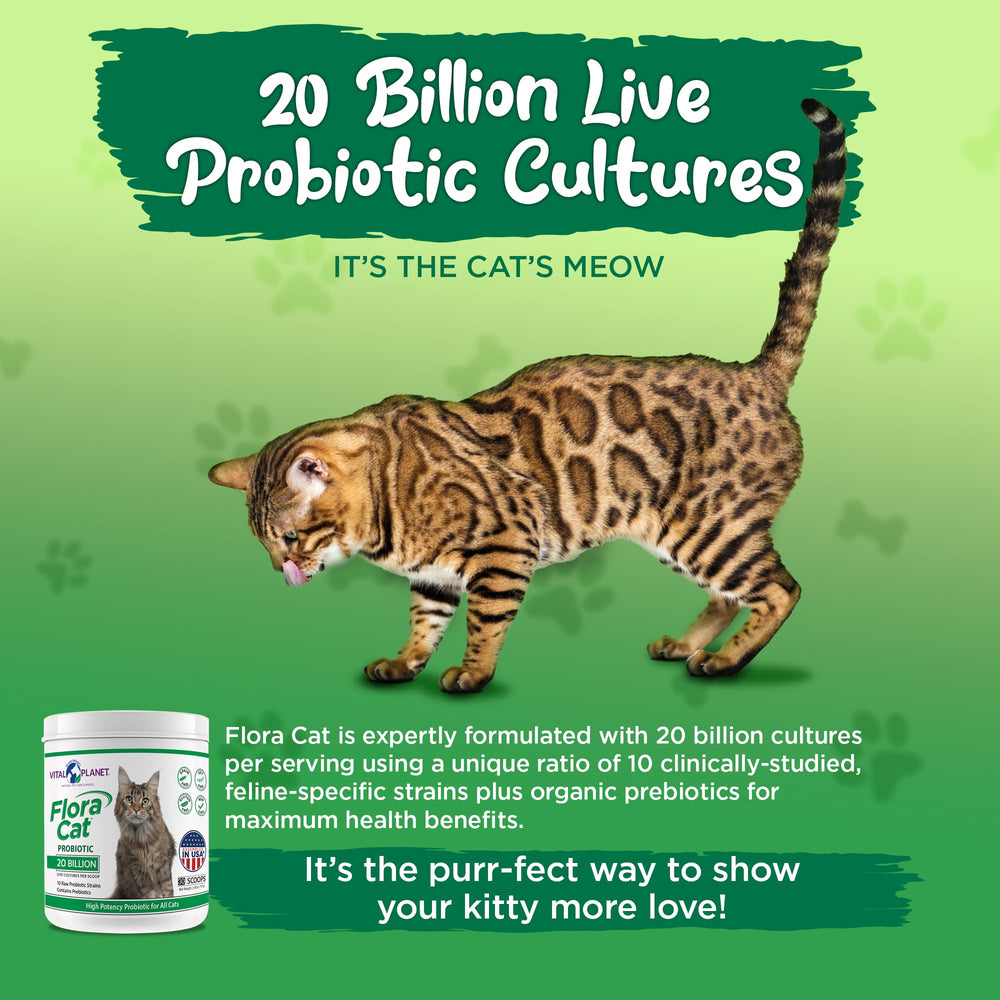 Vital Planet Flora Cat Probiotico, rutina diaria para una microbiota felina equilibrada.