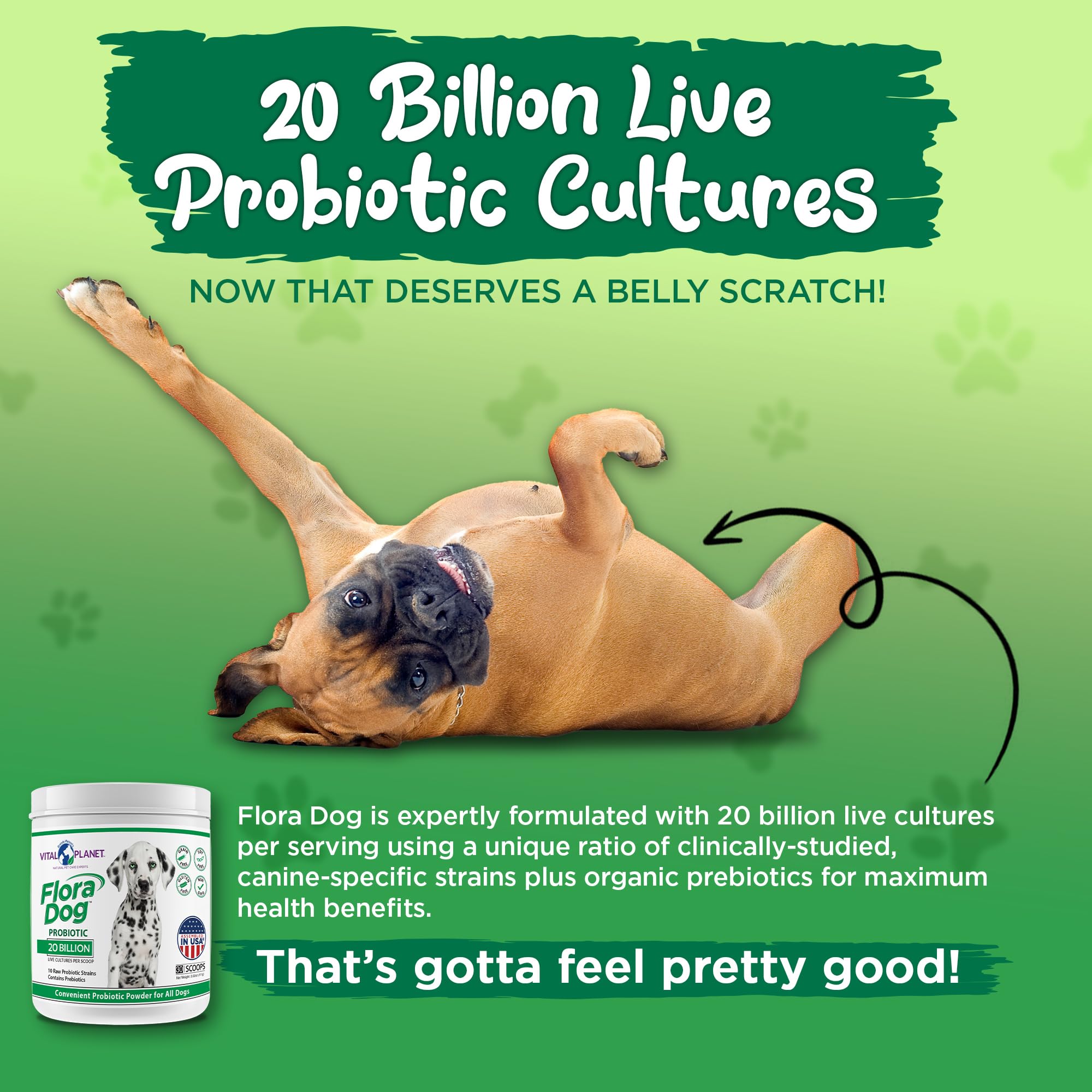 Beneficios Flora Dog para microbioma y bienestar general