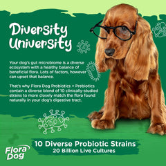 Gomitas suaves Flora Dog para apoyo digestivo e inmunitario