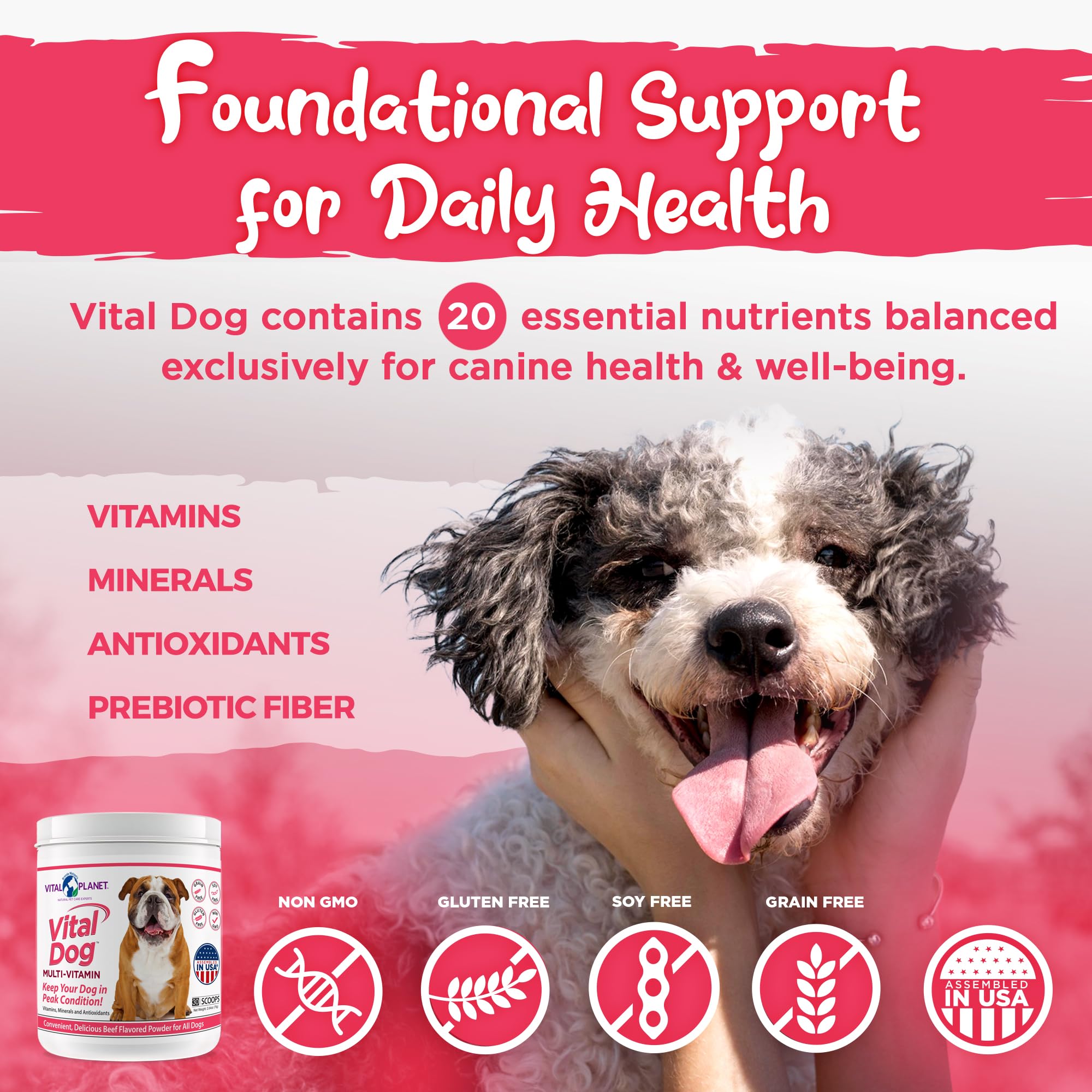 Vital Planet Vital Dog perro disfruta del sabor carne al comer.