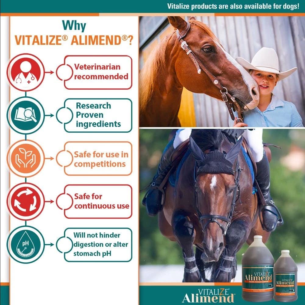 Caballo en viaje con Alimend, apoyo estomacal durante desplazamientos
