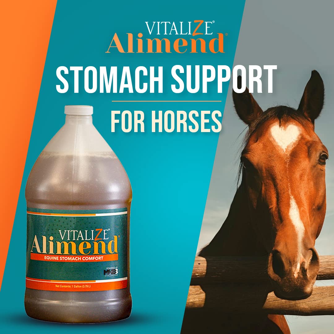 Vitalize Alimend, etiqueta cercana, ingredientes clave para el bienestar estomacal
